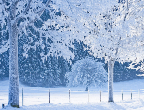 Arriva l’Inverno – Preparati in tempo